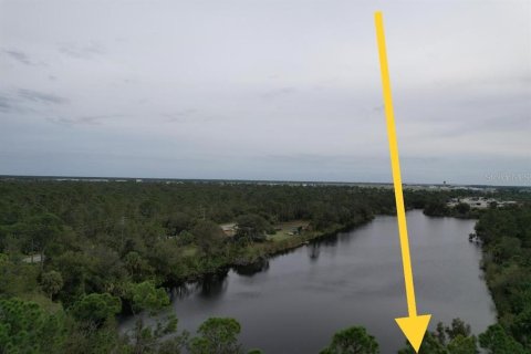 Land in Punta Gorda, Florida № 2213142 - photo 9