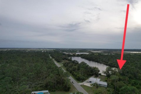 Land in Punta Gorda, Florida № 2213142 - photo 13