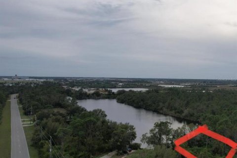 Land in Punta Gorda, Florida № 2213142 - photo 29