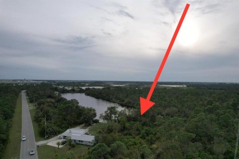 Land in Punta Gorda, Florida № 2213142 - photo 14