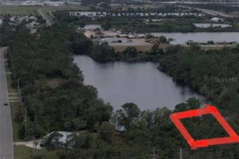 Land in Punta Gorda, Florida № 2213142 - photo 30