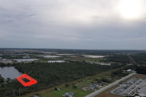 Land in Punta Gorda, Florida № 2213142 - photo 28