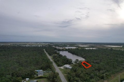 Land in Punta Gorda, Florida № 2213142 - photo 6