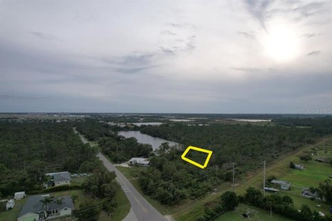 Land in Punta Gorda, Florida № 2213142 - photo 11