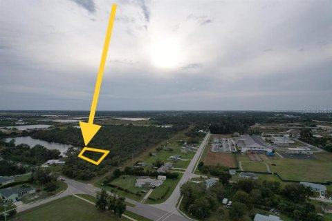 Land in Punta Gorda, Florida № 2213142 - photo 3