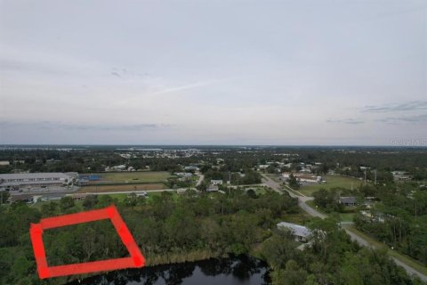 Land in Punta Gorda, Florida № 2213142 - photo 20