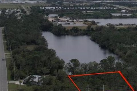 Land in Punta Gorda, Florida № 2213142 - photo 5