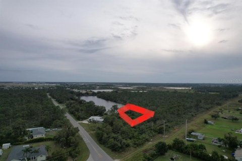 Land in Punta Gorda, Florida № 2213142 - photo 8