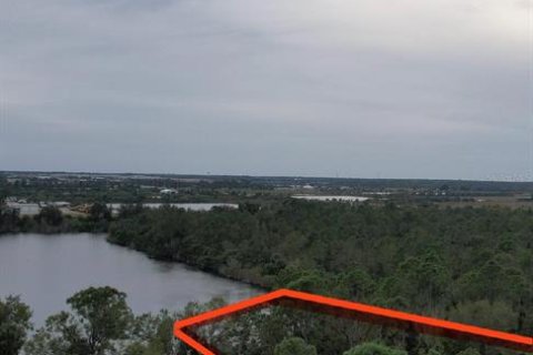 Land in Punta Gorda, Florida № 2213142 - photo 25