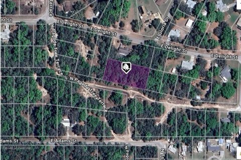 Land in Hernando, Florida № 2162714