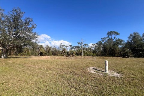 Terreno en venta en Punta Gorda, Florida № 2164052 - foto 7