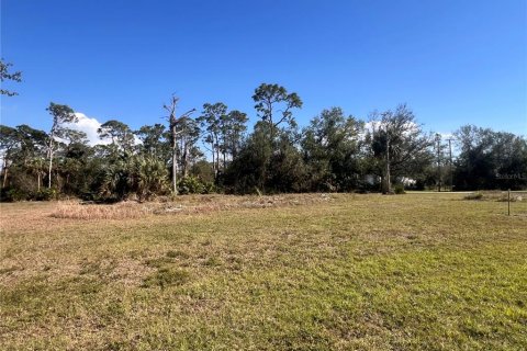 Terreno en Punta Gorda, Florida № 2164052