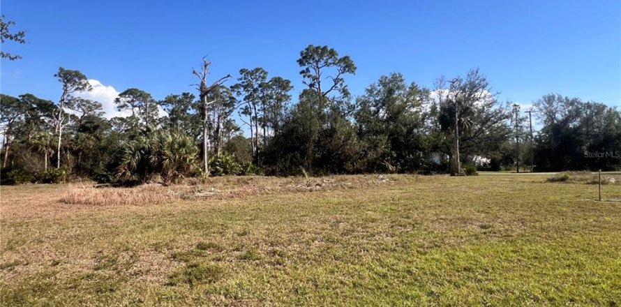 Terreno en Punta Gorda, Florida № 2164052