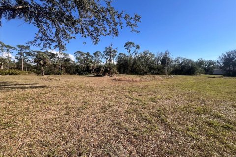 Terreno en venta en Punta Gorda, Florida № 2164052 - foto 8