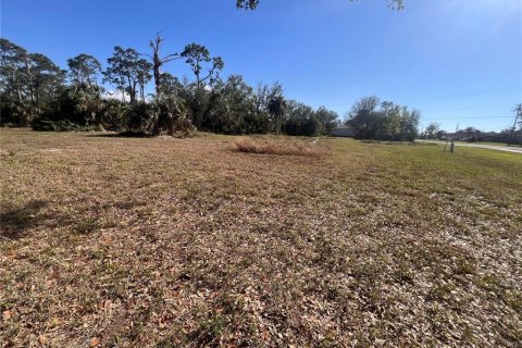 Terreno en venta en Punta Gorda, Florida № 2164052 - foto 2