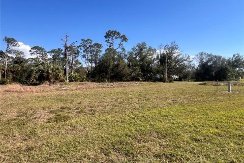 Terreno en venta en Punta Gorda, Florida № 2164052 - foto 5