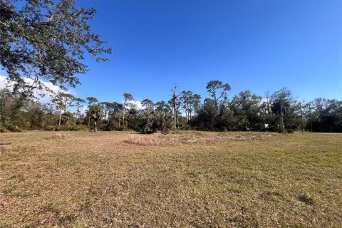 Terreno en venta en Punta Gorda, Florida № 2164052 - foto 3