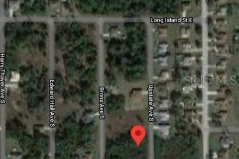Land in Lehigh Acres, Florida № 2163320