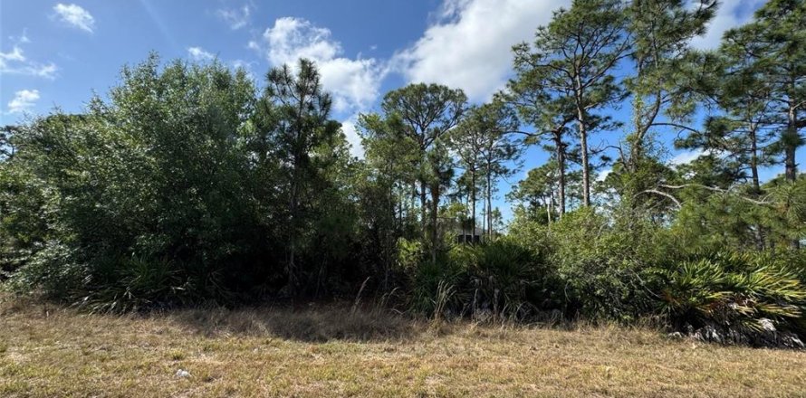 Land in Fort Myers, Florida № 2228738