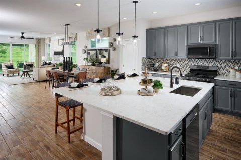 Villa ou maison à vendre à Mount Dora, Floride: 4 chambres, 221.48 m2 № 2428964 - photo 4