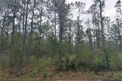Terreno en venta en Sebring, Florida № 2204638 - foto 2