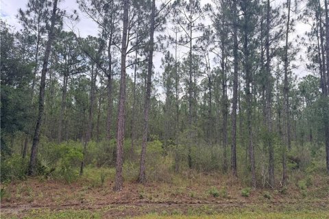 Terrain à Sebring, Floride № 2204638