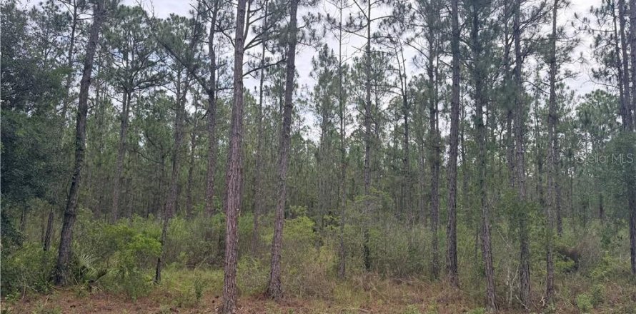Terreno en Sebring, Florida № 2204638
