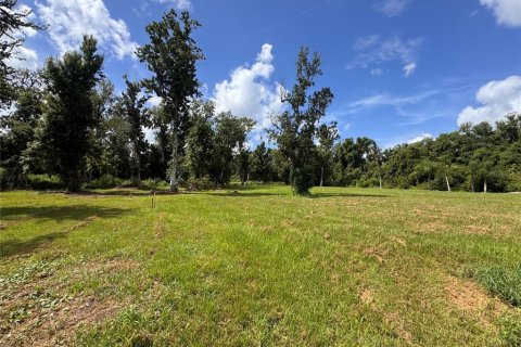 Land in Parrish, Florida № 2316499 - photo 28