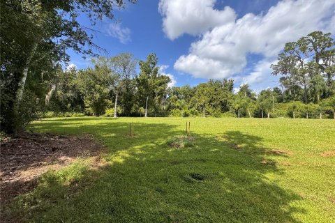 Land in Parrish, Florida № 2316499 - photo 17