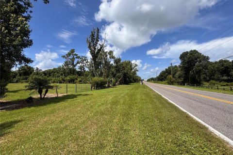 Land in Parrish, Florida № 2316499 - photo 11