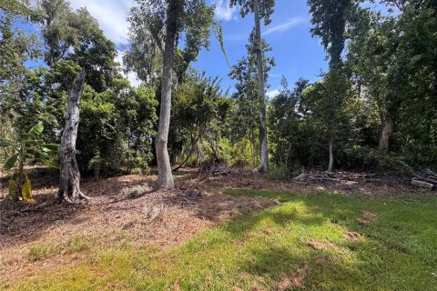 Land in Parrish, Florida № 2316499 - photo 24