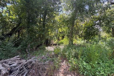 Land in Parrish, Florida № 2316499 - photo 20