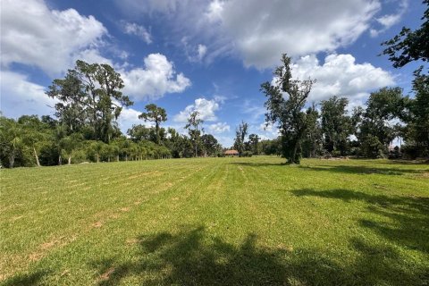 Land in Parrish, Florida № 2316499 - photo 15