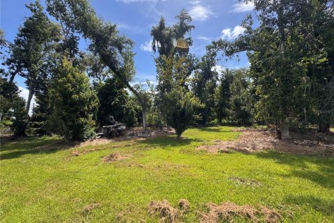 Land in Parrish, Florida № 2316499 - photo 27