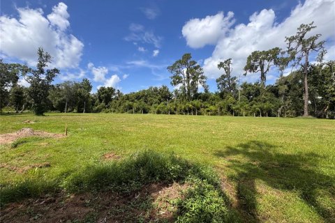 Land in Parrish, Florida № 2316499 - photo 2