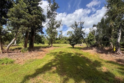 Land in Parrish, Florida № 2316499 - photo 19