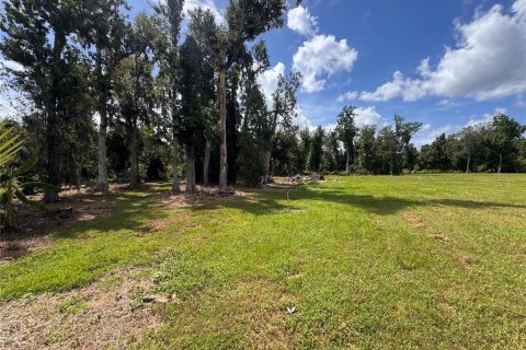 Land in Parrish, Florida № 2316499 - photo 4