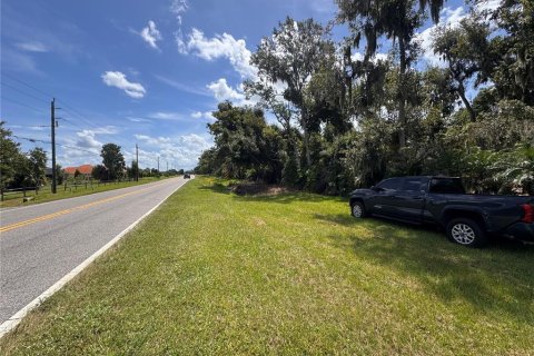 Land in Parrish, Florida № 2316499 - photo 12