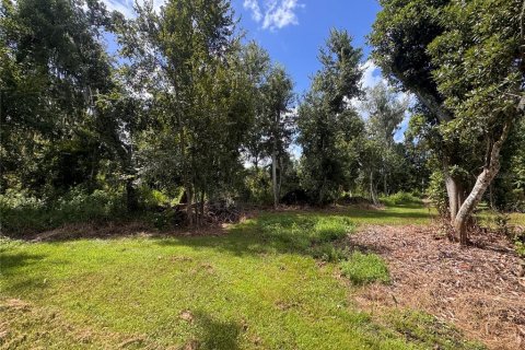 Land in Parrish, Florida № 2316499 - photo 23