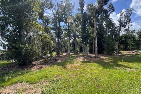 Land in Parrish, Florida № 2316499 - photo 3