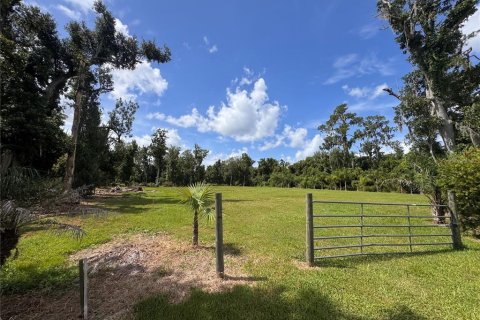 Land in Parrish, Florida № 2316499 - photo 6