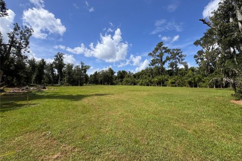 Land in Parrish, Florida № 2316499 - photo 5