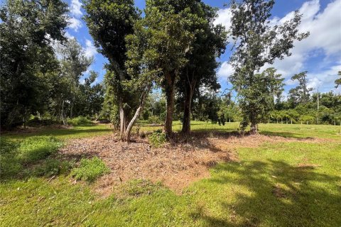 Land in Parrish, Florida № 2316499 - photo 21