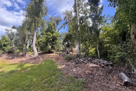 Land in Parrish, Florida № 2316499 - photo 22