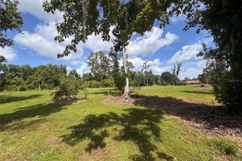 Land in Parrish, Florida № 2316499 - photo 18