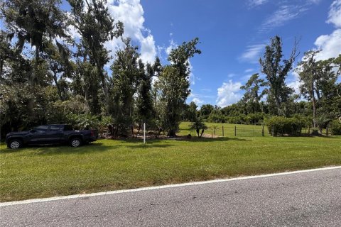 Land in Parrish, Florida № 2316499 - photo 14