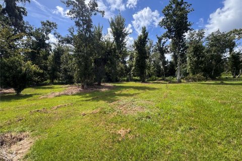 Land in Parrish, Florida № 2316499 - photo 29
