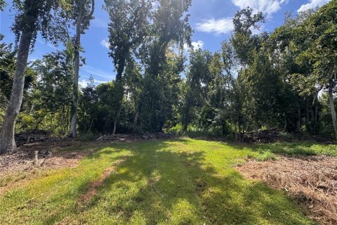 Land in Parrish, Florida № 2316499 - photo 25