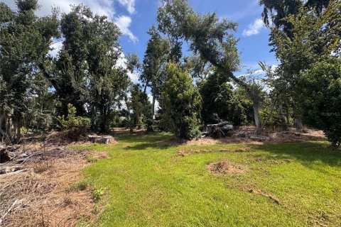 Land in Parrish, Florida № 2316499 - photo 26