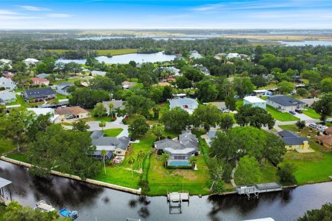 Villa ou maison à vendre à Homosassa, Floride: 3 chambres, 245.17 m2 № 1778028 - photo 28